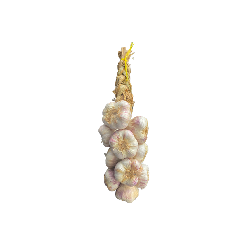 Tresse d'aïl violet de Provence 1 kg