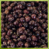 Olives coquillos aux herbes - 250 g