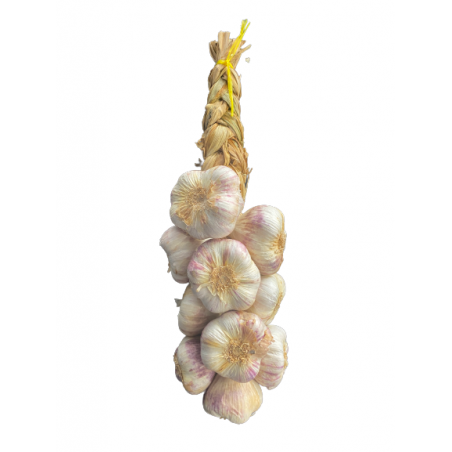 Lot de 2 Tresses d'aïl violet de Provence 1 kg