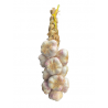 Lot de 2 Tresses d'aïl violet de Provence 1 kg